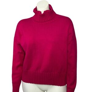Banana Republic Pink Sweater Turtleneck XL